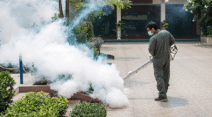 fumigation - ADJ and R Pest Control Services in Davao City