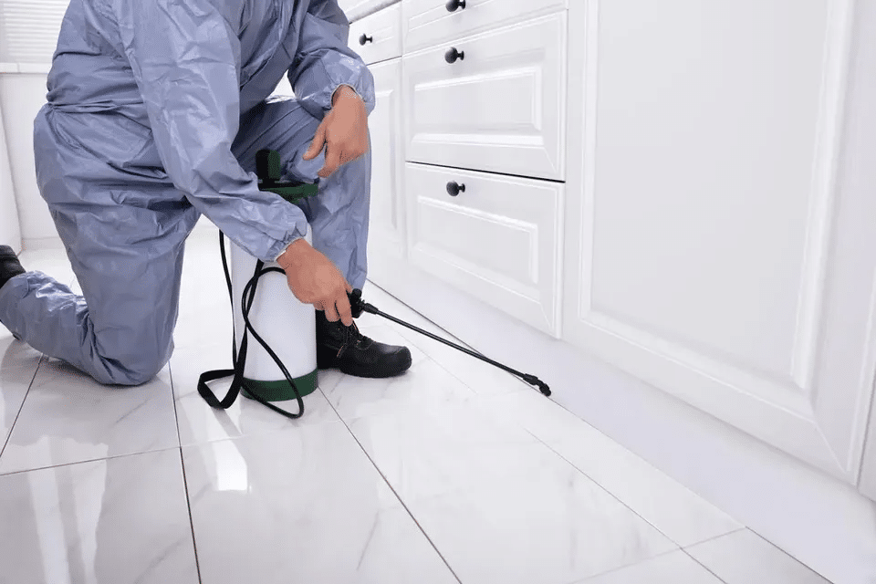 blog1 15 20 1920w 960w - ADJ and R Pest Control Services in Davao City