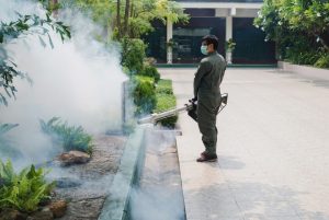 fumigation 1 - ADJ and R Pest Control Services in Davao City