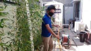 The Silent Destroyer: How to Protect Your Home from Termite Infestations in Davao City