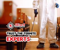 You can trust us to protect your home from termites.