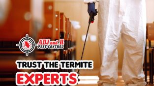 You can trust us to protect your home from termites.