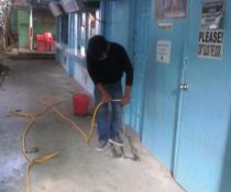 Termite Pest Control for Commercial Buildings in Davao: Challenges and Solutions