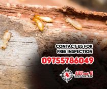 Don’t let termites compromise the safety and value of your property.