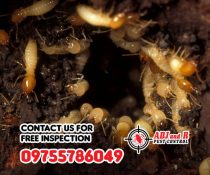 Say goodbye to the termite tyranny and hello to a pest-free paradise!