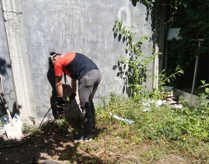 General Pest Control in Davao