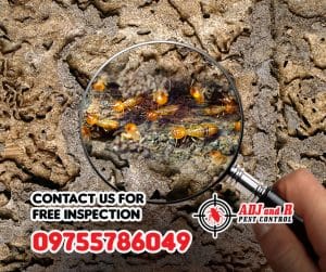 best pest control in Davao