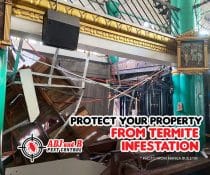 Don’t let termites compromise the safety and integrity of your property