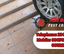 Effective Pest Control in Davao Strategies