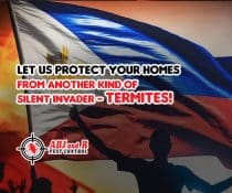 Protecting our homes and families from a silent threat – TERMITES!