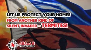 Protecting our homes and families from a silent threat – TERMITES!