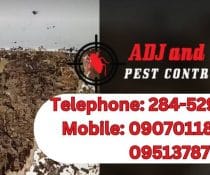 Organic Pest Control Solutions in Davao for Health-Conscious Davao Residents