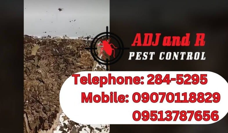 Discover eco-friendly, organic pest control solutions in Davao by ADJ and R Pest Control. Safe for families and the environment. Learn how we prioritize your health with natural methods.
