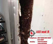 Protect your Ecoland property from termites with ADJ and R Pest Control. Our expert termite treatment services in Davao City offer customized, eco-friendly solutions to keep your home or business termite-free. Contact us today!