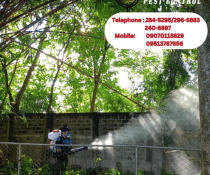 Protect your family from dengue with ADJ and R Pest Control's comprehensive Anti-Dengue Treatment in Davao. Specialized services for Woodridge Park Subdivision ensure a mosquito-free, healthier environment. Contact us today!