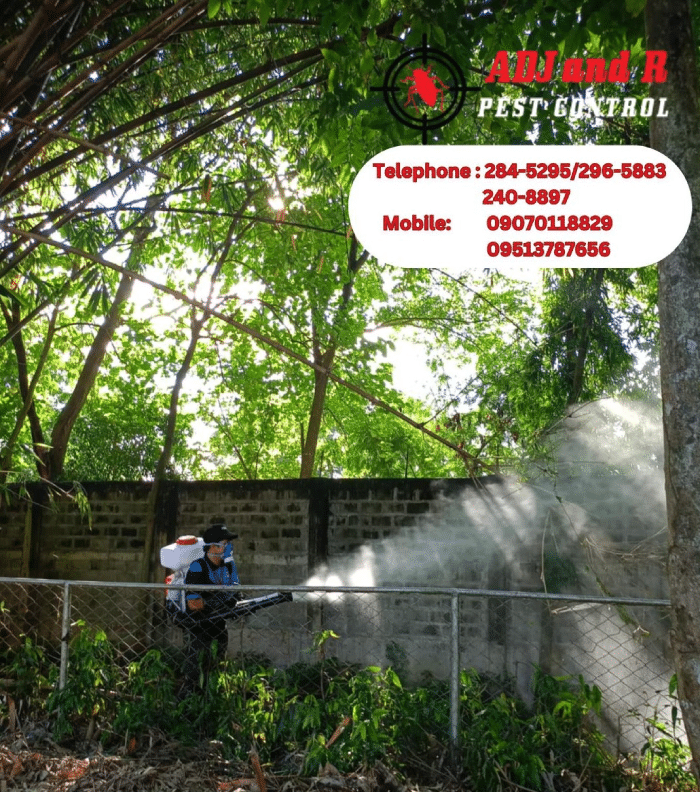 Protect your family from dengue with ADJ and R Pest Control's comprehensive Anti-Dengue Treatment in Davao. Specialized services for Woodridge Park Subdivision ensure a mosquito-free, healthier environment. Contact us today!