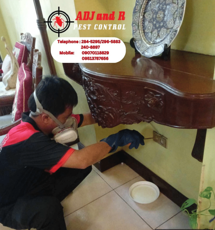 Protect your home from termite damage with ADJ and R Pest Control's expert termite treatment in Davao. Serving West Insular Village, we offer comprehensive inspections, customized treatment plans, and preventative measures. Contact us today for reliable termite control solutions.