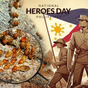 This National Heroes Day, Be the Hero Your Home Deserves!