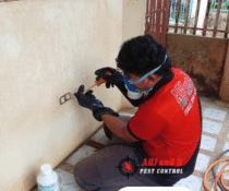 Protect your property in Catalunan Grande with expert termite treatment in Davao from ADJ and R Pest Control. Our comprehensive, eco-friendly solutions ensure long-lasting protection against termites. Schedule your inspection today!