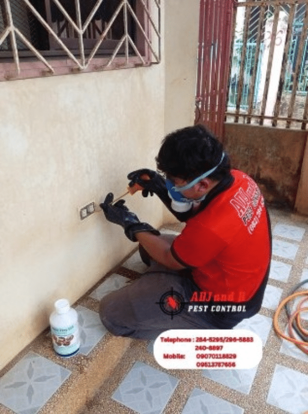 Protect your property in Catalunan Grande with expert termite treatment in Davao from ADJ and R Pest Control. Our comprehensive, eco-friendly solutions ensure long-lasting protection against termites. Schedule your inspection today!