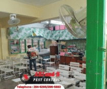 Ensure a safe, dengue-free environment at Josefa Llanes Escoda Elementary School with ADJ and R Pest Control’s expert anti-dengue services. Learn how comprehensive mosquito control and prevention measures protect students and staff from dengue outbreaks.