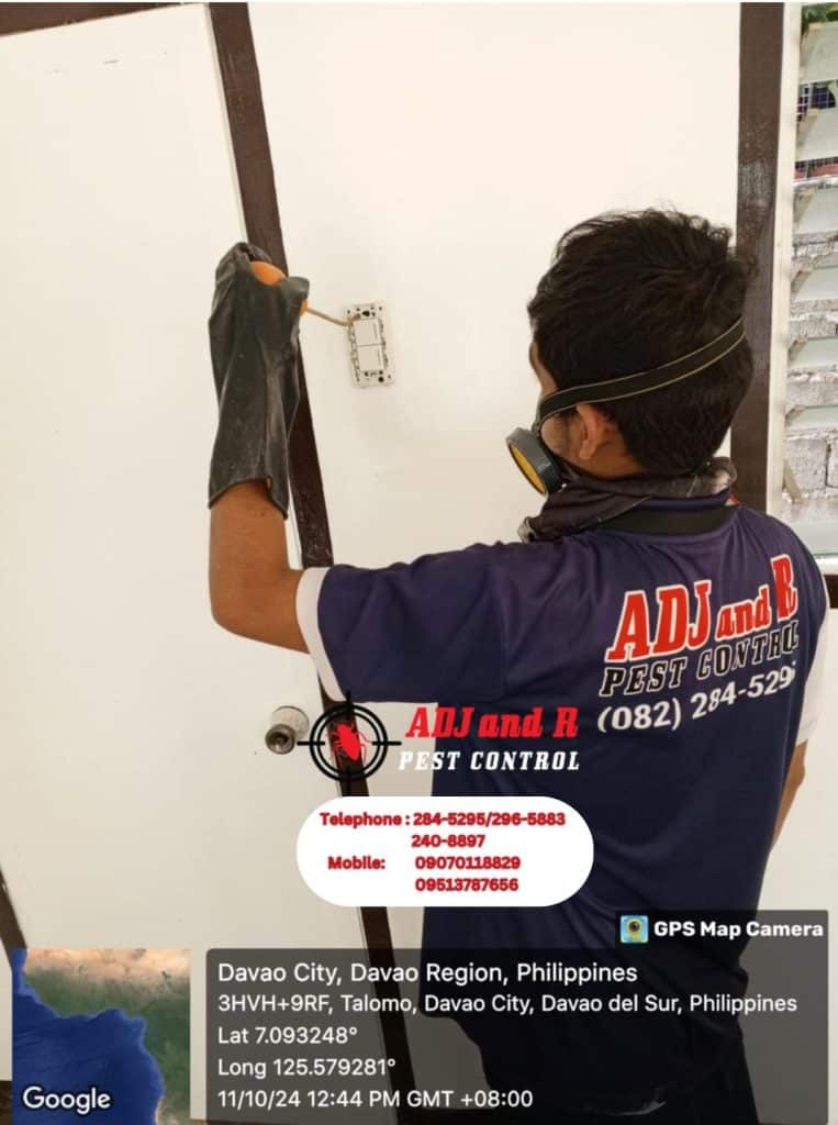 Protect your home from termites with expert termite treatment from ADJ and R Pest Control. Our comprehensive approach ensures long-term protection and peace of mind.