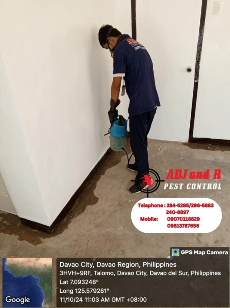 Protect your home from termites with expert termite treatment from ADJ and R Pest Control. Our comprehensive approach ensures long-term protection and peace of mind.