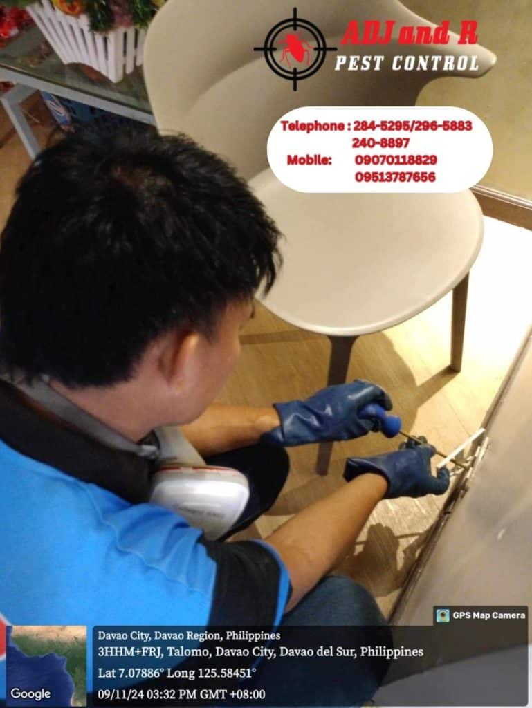 Protect your office from termites with professional termite treatment services by ADJ and R Pest Control in Davao. Reliable, effective, and customized solutions for a pest-free workspace.