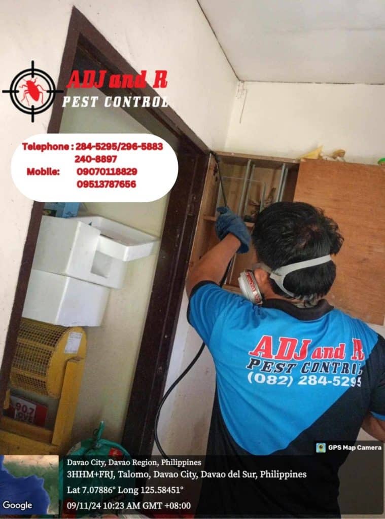 Protect your office from termites with professional termite treatment services by ADJ and R Pest Control in Davao. Reliable, effective, and customized solutions for a pest-free workspace.