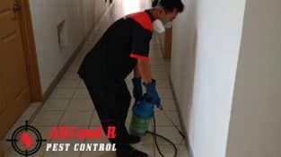 General Pest Control Treatment