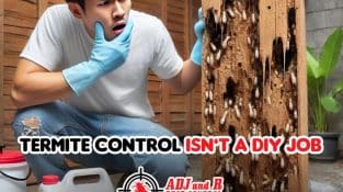 Say goodbye to termites the right way!