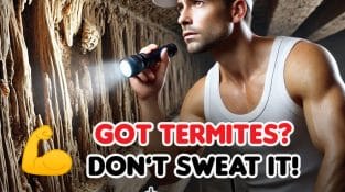 💪 Got termites? Don’t sweat it! 💪