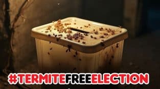 Don’t let termites rig your home’s integrity—call us today!