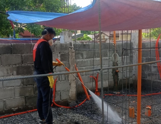 Davao Pest Control 3