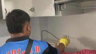 Guide to the Top Pest Control in Davao City