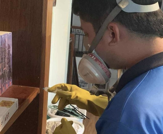 Davao Pest Control 4