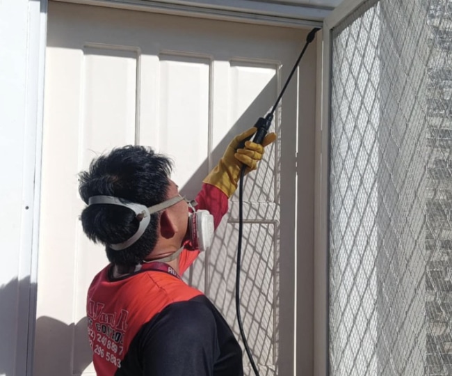 Davao Pest Control
