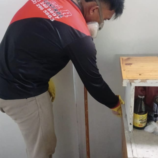 Davao Pest Control 2