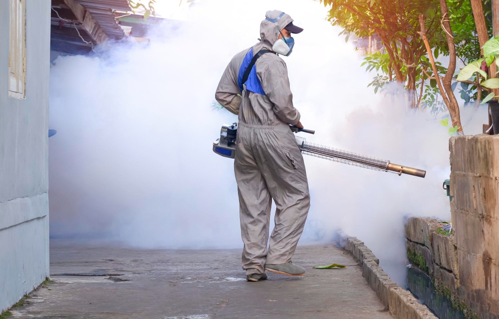 Fogging in Davao Image 2