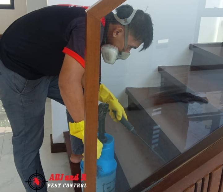 Termite Treatment at Catitipan 1 - ADJ and R Pest Control Services in Davao City