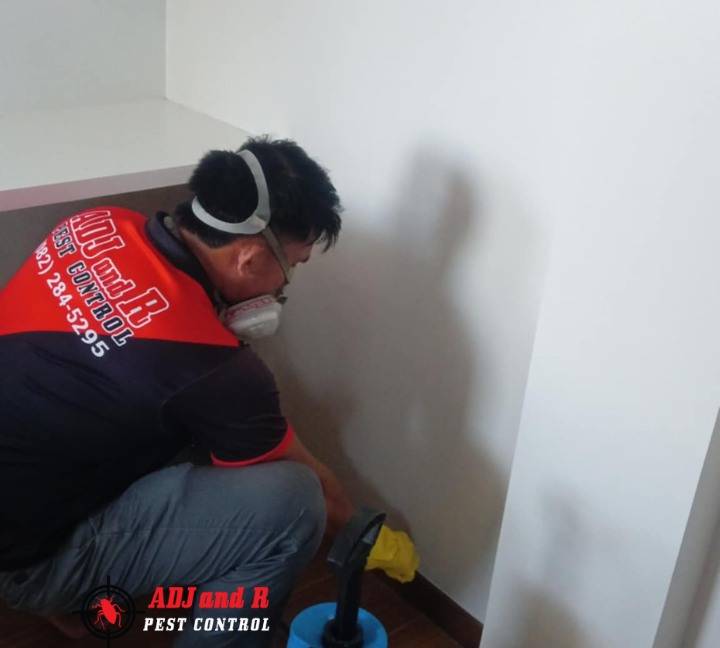 Termite Treatment at Catitipan 2 - ADJ and R Pest Control Services in Davao City
