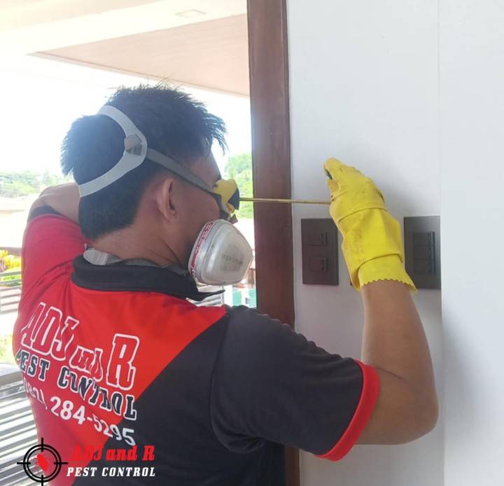 Termite Treatment at Catitipan - ADJ and R Pest Control Services in Davao City