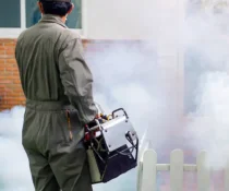 Discover how fogging in Davao helps control mosquito populations during the rainy season. Learn about the benefits of professional fogging services by ADJ and R Pest Control to keep your community safe.