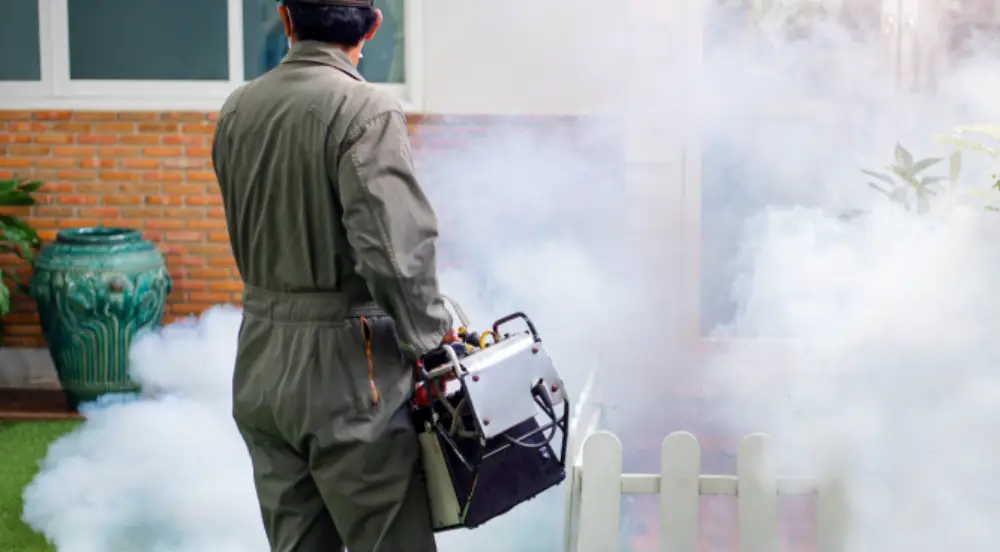 Discover how fogging in Davao helps control mosquito populations during the rainy season. Learn about the benefits of professional fogging services by ADJ and R Pest Control to keep your community safe.