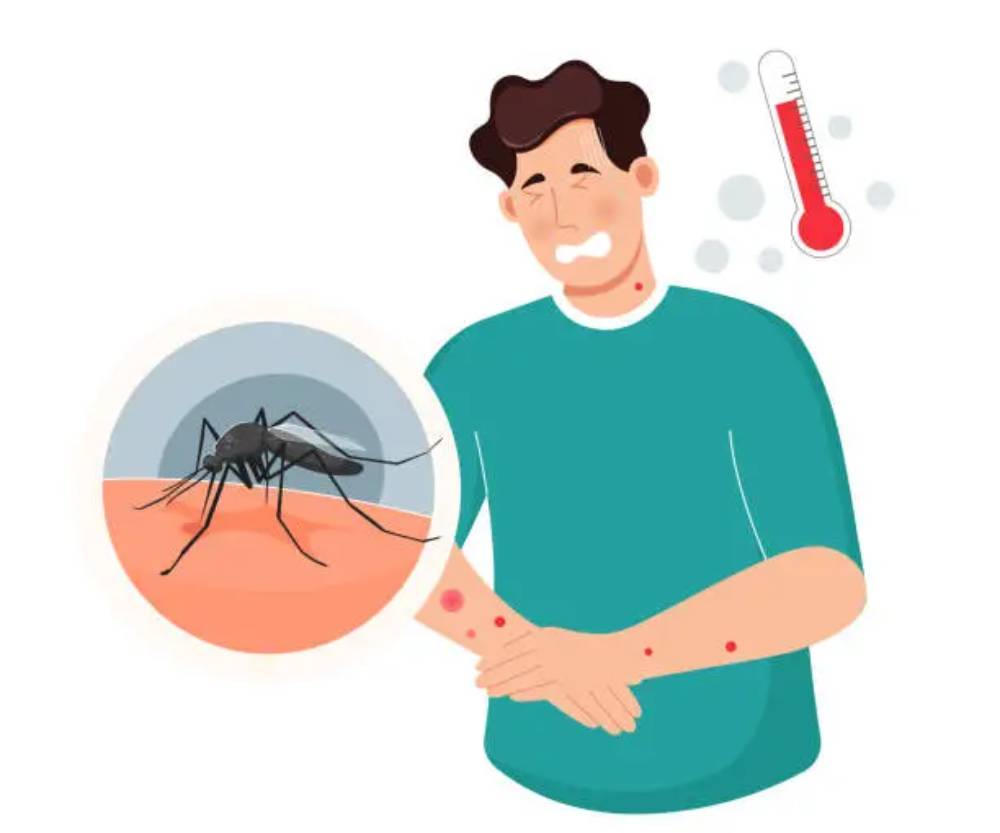 Discover effective mosquito control in Davao with ADJ and R Pest Control. Learn proven strategies to combat mosquitoes during the rainy season and protect your home and community.