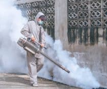 Discover effective mosquito control in Davao with ADJ and R Pest Control. Learn proven strategies to combat mosquitoes during the rainy season and protect your home and community.