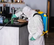Discover the top 5 affordable pest control services in Davao with ADJ and R Pest Control. Effective, budget-friendly pest control solutions tailored for every budget. Protect your home today!