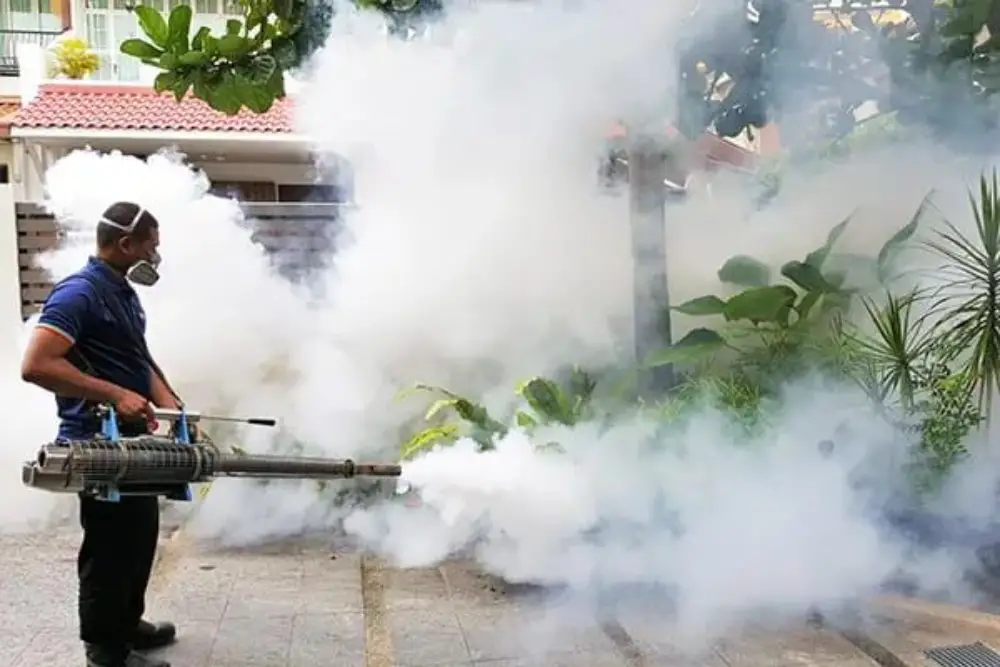 ADJ and R Pest Control Fogging in Davao
