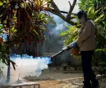 A Resident’s Guide to Fogging in Davao and Choosing the Right Fumigation or Disinfection Service