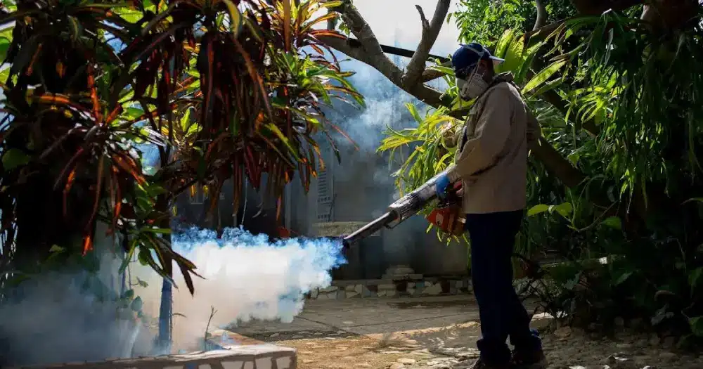 Fogging in Davao